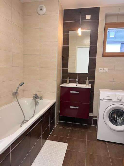 Appartement Red Jardin Tres Calme Saint-Louis (Haut-Rhin) Exterior foto